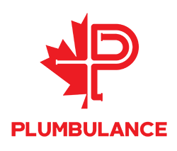 Plumbulance